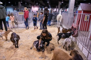 Kids and adults with goats